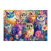 Mindful Wooden Jigsaw Puzzle - Colored Owl