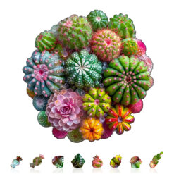 Alternative view of Mindful Wooden Jigsaw Puzzle – Cactus and Succulents